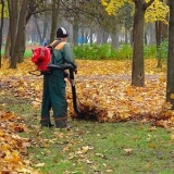 Usisivač za lišće